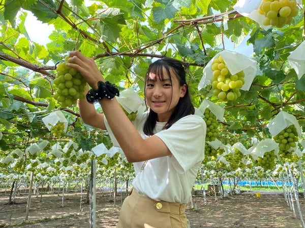【茨城県内発】 甲州シャインマスカット1房狩り&桃狩り食べ放題とご昼食はワイナリー併設レストランでシーフードピラフ2
